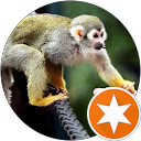 sembrando milagros profile picture