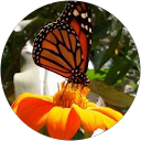 Carolina Roldan profile picture