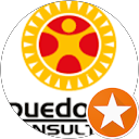 Puedoser Consulting profile picture