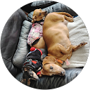 adriana chacon profile picture